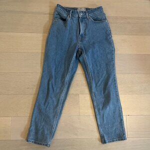 Everlane The Cheeky Hourglass Jean